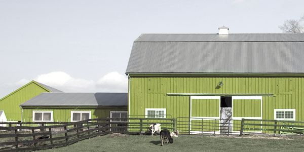 Energielösungen für Landwirtschaft